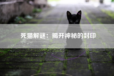 死猫解谜：揭开神秘的封印