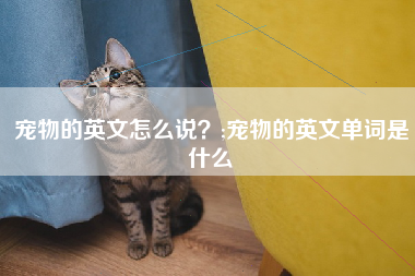 宠物的英文怎么说？;宠物的英文单词是什么