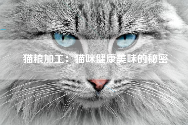 猫粮加工：猫咪健康美味的秘密