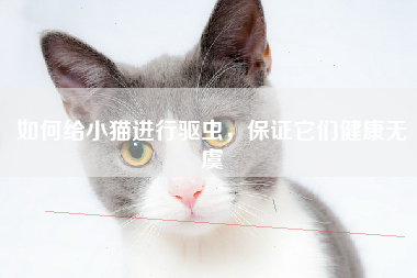 如何给小猫进行驱虫，保证它们健康无虞