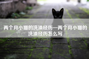 两个月小猫的洗澡经历—两个月小猫的洗澡经历怎么写