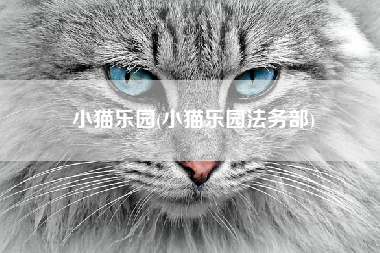 小猫乐园(小猫乐园法务部)