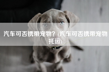 汽车可否携带宠物？(汽车可否携带宠物托运)