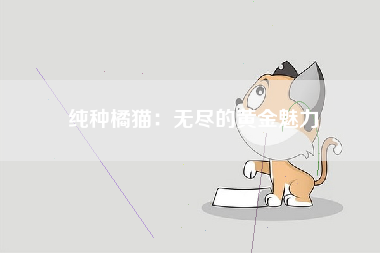 纯种橘猫：无尽的黄金魅力