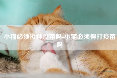 小猫必须接种疫苗吗-小猫必须得打疫苗吗