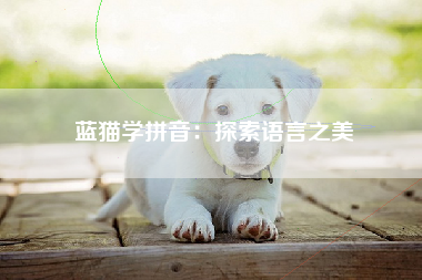 蓝猫学拼音：探索语言之美