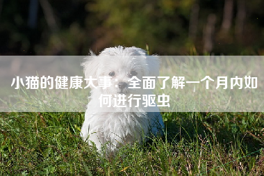 小猫的健康大事：全面了解一个月内如何进行驱虫