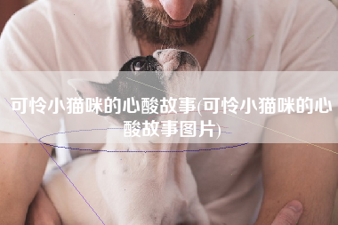 可怜小猫咪的心酸故事(可怜小猫咪的心酸故事图片)