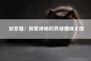 加非猫：探索神秘的异域猫咪王国