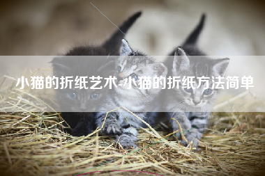 小猫的折纸艺术-小猫的折纸方法简单