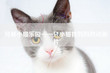 可爱小猫乐园—一只小猫找妈妈的动画片