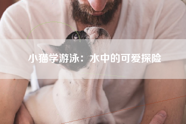 小猫学游泳：水中的可爱探险