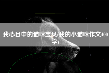 我心目中的猫咪宝贝(我的小猫咪作文400字)