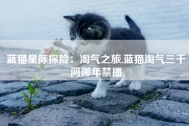 蓝猫星际探险：淘气之旅,蓝猫淘气三千问哪年禁播