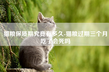 猫粮保质期究竟有多久-猫粮过期三个月吃了会死吗