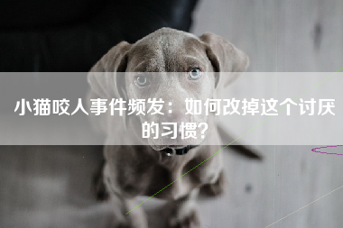 小猫咬人事件频发：如何改掉这个讨厌的习惯？