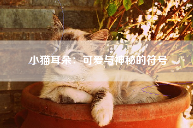 小猫耳朵：可爱与神秘的符号