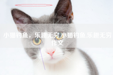 小猫钓鱼，乐趣无穷,小猫钓鱼,乐趣无穷作文