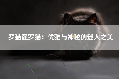 罗猫暹罗猫：优雅与神秘的迷人之美