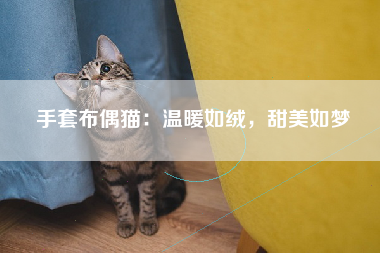 手套布偶猫：温暖如绒，甜美如梦