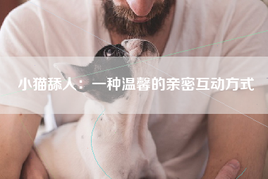 小猫舔人：一种温馨的亲密互动方式