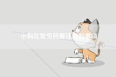 小狗吃驱虫药要注意的事项