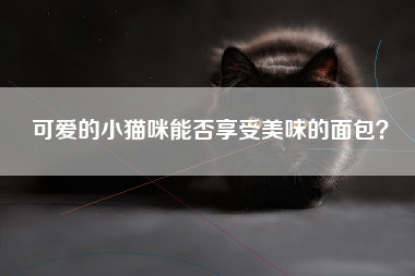 可爱的小猫咪能否享受美味的面包？