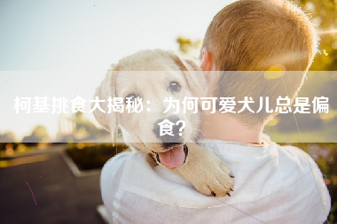 柯基挑食大揭秘：为何可爱犬儿总是偏食？