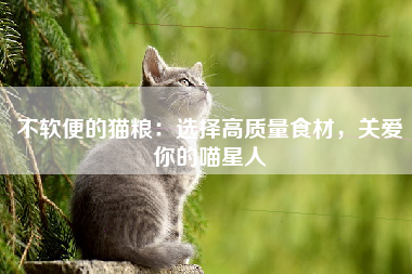 不软便的猫粮：选择高质量食材，关爱你的喵星人