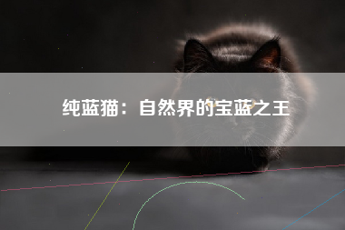 纯蓝猫：自然界的宝蓝之王