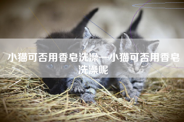 小猫可否用香皂洗澡—小猫可否用香皂洗澡呢