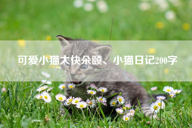 可爱小猫大快朵颐、小猫日记200字