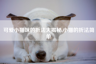 可爱小猫咪的折法大揭秘,小猫的折法简单