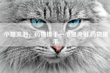 小猫流泪，药物援手—小猫流泪,药物援手