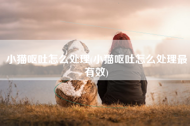 小猫呕吐怎么处理(小猫呕吐怎么处理最有效)