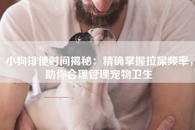 小狗排便时间揭秘：精确掌握拉屎频率，助你合理管理宠物卫生