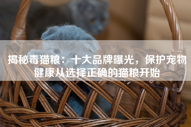 揭秘毒猫粮：十大品牌曝光，保护宠物健康从选择正确的猫粮开始