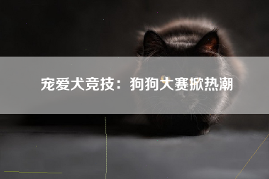 宠爱犬竞技：狗狗大赛掀热潮