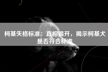 柯基失格标准：真相揭开，揭示柯基犬是否符合标准