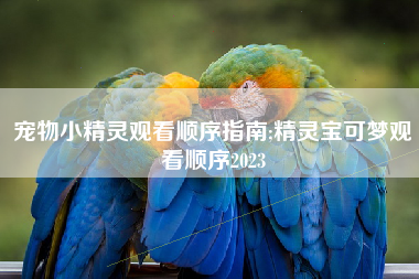 宠物小精灵观看顺序指南;精灵宝可梦观看顺序2023