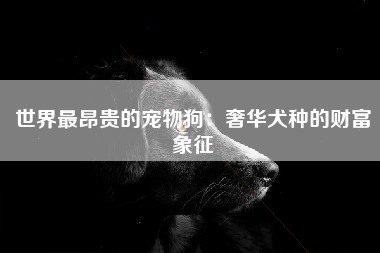 世界最昂贵的宠物狗：奢华犬种的财富象征