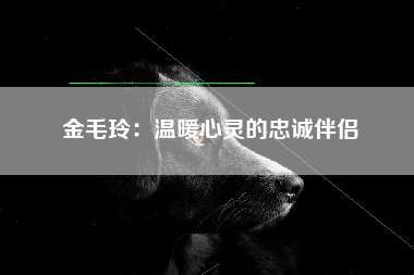 金毛玲：温暖心灵的忠诚伴侣