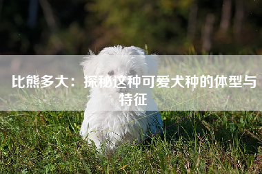 比熊多大：探秘这种可爱犬种的体型与特征