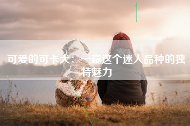 可爱的可卡犬：一窥这个迷人品种的独特魅力