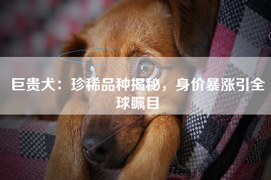 巨贵犬：珍稀品种揭秘，身价暴涨引全球瞩目