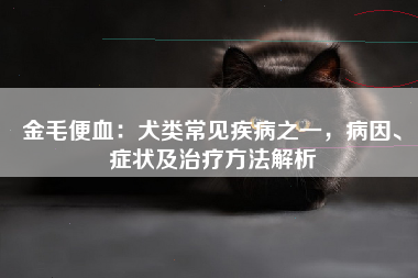 金毛便血：犬类常见疾病之一，病因、症状及治疗方法解析