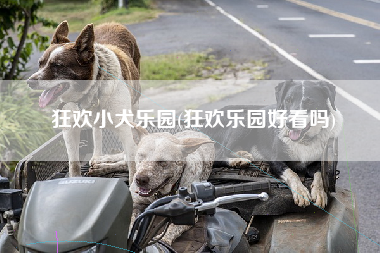 狂欢小犬乐园(狂欢乐园好看吗)