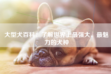 大型犬百科：了解世界上最强大、最魅力的犬种