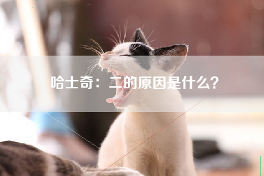 哈士奇：二的原因是什么？