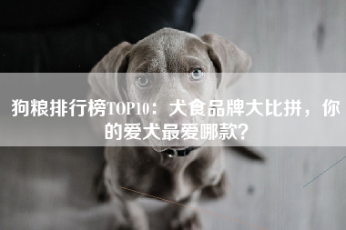 狗粮排行榜TOP10：犬食品牌大比拼，你的爱犬最爱哪款？